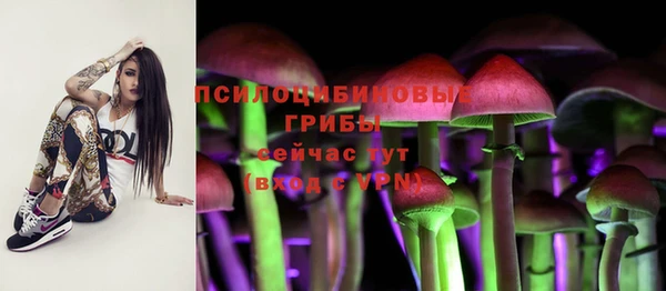 гашишное масло Алексеевка