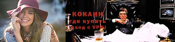 винт Алзамай